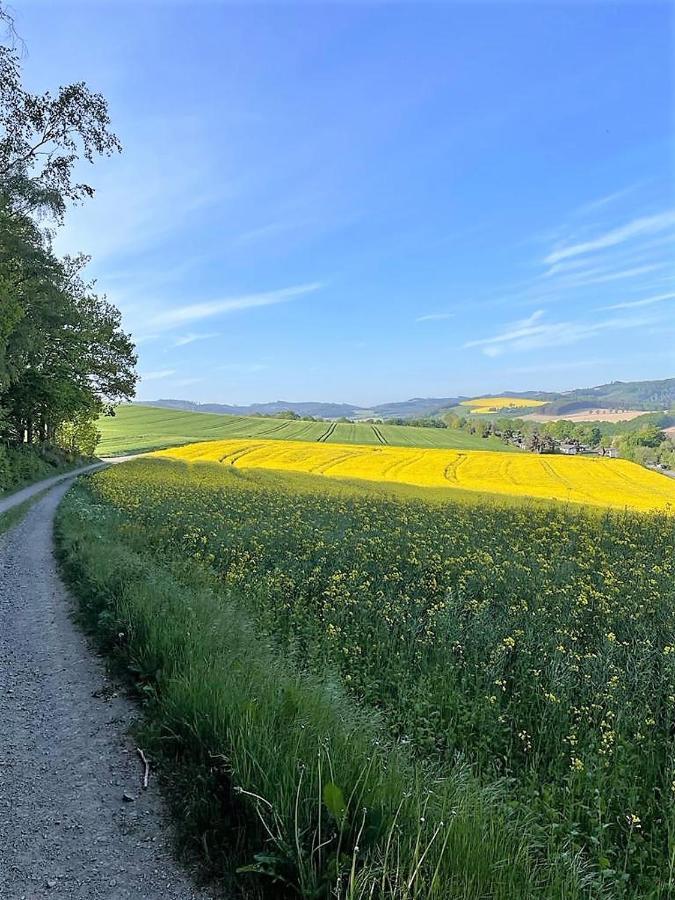 梅舍德Sauerlaender Henne-Luett别墅 外观 照片